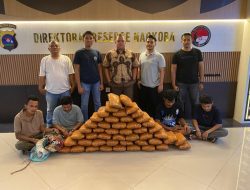 Polda Sumbar Ringkus 4 Tersangka Dan Sita 47 Kg Ganja Siap Edar