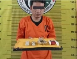 Berkat Pengembangan Kasus Diciduk Tersangka Pengedar Ganja