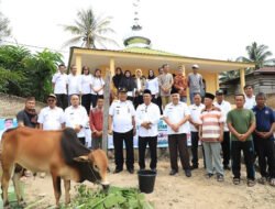 Presiden RI Serahkan Hewan Kurban ke Kabupaten Dairi, Bupati: Tanda Cinta untuk Umat