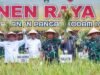 Panglima TNI Panen Raya Padi Di Lahan Kodam I/BB Deli Serdang