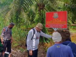Vonis 10 Tahun Perambah 210 Hektar Hutan Suaka Margasatwa, Jaksa Banding