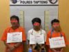 Ungkap Peredaran Ganja, 3 Tersangka Diringkus Satres Narkoba