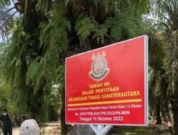 Terpidana Perambah Hutan TM Karang Gading Belum Ditahan Meski Divonis 10 Tahun