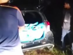 Kembali Marak Aksi Pencurian Ternak Di Jalur Lintas Aceh Tengah-Gayo Lues