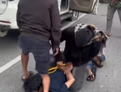 Satres Narkoba Gayo Lues Ungkap Peredaran Ganja Jalur Darat