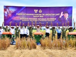 Perkuat Ketahanan Pangan Nasional, TNI AL Panen Kedelai Varietas Unggulan