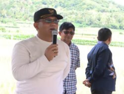 Wabup Dairi Dorong Petani Tanam Padi untuk Perkuat Ketahanan Pangan