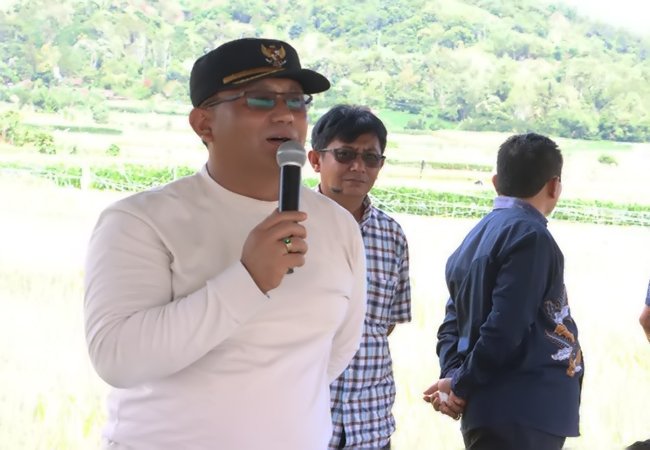 Wabup Dairi Dorong Petani Tanam Padi untuk Perkuat Ketahanan Pangan