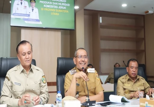 Bupati Dairi Dukung Hilirisasi Jeruk Sumut, Siapkan Lahan Percontohan 20 Hektare