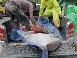 Penanganan Cepat Bencana Taput: 9 Warga Ditemukan Meninggal, 31 Masih Dicari, 134 Mengungsi