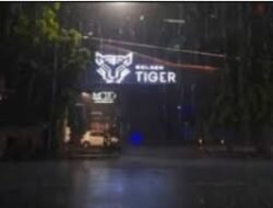 Ribut Internal Antar 2 Kelompok Polisi Di THM Golden Tiger, Seorang Wanita Ditabrak Saat Ke Mobil