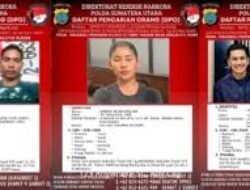 Polda Sumut Tak Mampu Ringkus Buronan Kelas Kakap Narkoba