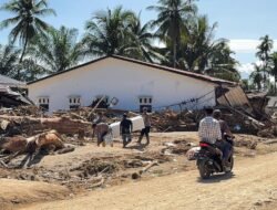 Akses Antarwilayah Pulih, Brimob Sumut Rampungkan Perbaikan Jembatan Halangan Dalam 3 Hari