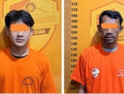 Ditreskrimsus Ringkus 2 Tersangka Ilegal Logging Sementara 2 Lainnya DPO