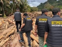 Bareskrim Polri Proses Kayu Gelondongan Yang Dibawa Bencana Longsor