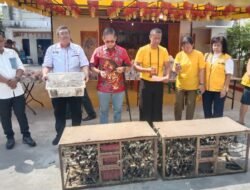 Ketua DPRD Medan Tanam Pohon dan Lepas Ribuan Burung, Dorong Kepedulian Lingkungan dan Sosial