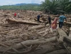 Bareskrim Polri Usut Pembalakan Liar Penyebab Banjir Bandang Di Aceh Tamiang