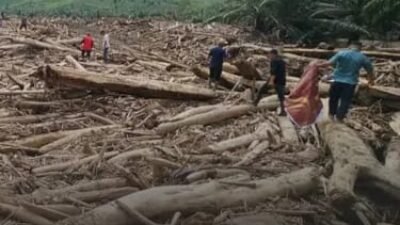 Bareskrim Polri Usut Pembalakan Liar Penyebab Banjir Bandang Di Aceh Tamiang