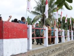 Pangdam I/BB Tinjau Jembatan Aramco Di Desa Sei Litur Langkat