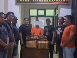 Bawa 26 Kg Ganja, Pelaku Narkotika Ditangkap Usai Coba Kabur Dari Polisi