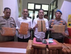 Satres Narkoba Polres Labusel Ungkap 27,869 Gram Ganja, Satu Buruh Asal Padang Ditangkap