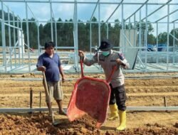 Brimob Sumut Turun Langsung Bantu Pembangunan Hunian Sementara Warga Sipirok Pasca Bencana