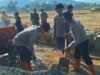 Bangun Rumah, Bangun Harapan: Brimob Polda Sumut Bantu Kerjakan Huntap Di Desa Napa