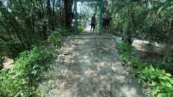 Akses Warga Terancam, Brimob Sumut Lakukan Pengecekan Jembatan Gantung Di Tukka