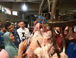 Jelang Lebaran, Gubernur Bobby Nasution Pastikan Stok Bahan Pokok Sumut Aman Dan Harga Stabil