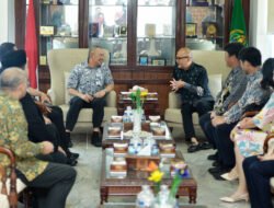 Pemprov Sumut Tawarkan KEK Sei Mangkei Dan BRT Ke Investor Jepang