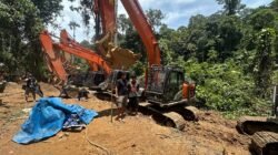 Polda Sumut Bongkar Tambang Emas Ilegal Beromzet Miliaran, 17 Orang Dan 14 Ekskavator Diamankan