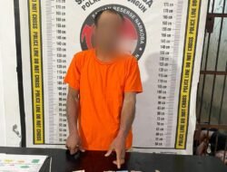 Sempat Melawan Pakai Gunting, Pengedar Sabu Diringkus Polisi Di Kebun Sawit Raya Kahean