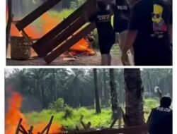 Barak Narkoba Perbatasan Binjai-Langkat Dimusnahkan