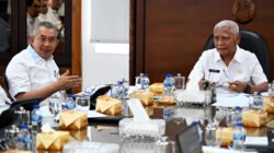 Wagub Sumut Surya Tegaskan Percepatan Proyek Strategis Daerah