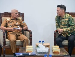 Wagub Surya Dukung Pembangunan 217 Tower Transmisi PLN Langkat-Medan