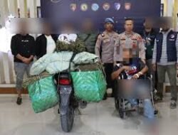 Satresnarkoba Aceh Tengah Amankan 45,5 Kg Ganja Di Celala