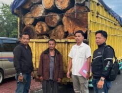 2 Truk Kayu Gelondongan Illegal Yang Diamankan Tim Gabungan Deninteldam I/BB Kini Diproses Polda Sumut
