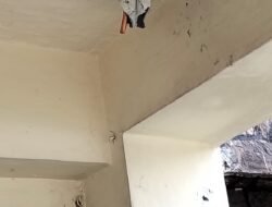 Kali Ketiga Kantor PWI Sumut Kembali Sasaran Pencurian, Pipa Tembaga AC Dipotong