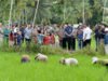 Bobby Nasution Respons Aspirasi Petani Afia, Dorong Solusi Harga Pupuk Dan Bantuan Alsintan