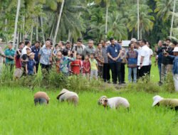Bobby Nasution Respons Aspirasi Petani Afia, Dorong Solusi Harga Pupuk Dan Bantuan Alsintan