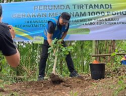 Perumda Tirtanadi Tanam 1.000 Pohon Di Sibolangit Ardian Surbakti : Masih Banyak Aktivitas Penebangan Pohon